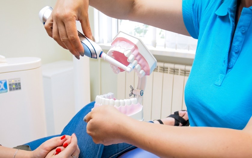 Eine Zahnärztin zeigt mit Hilfe von einem Gebiss und einer elektrischen Zahnbürste, wie man richtig Zähne putzt